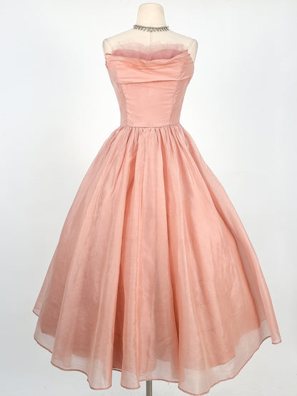 1950s Shimmery Mauve Organza and Tulle Gown / Waist 27