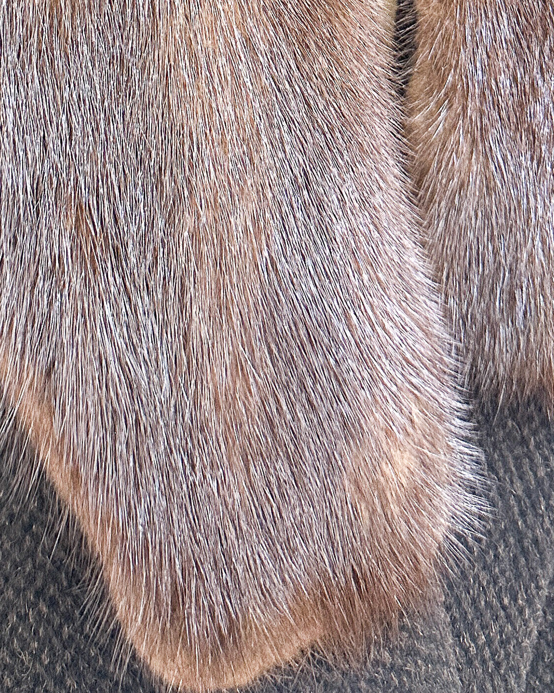 1950s 'The Carnegie Hill' Tweed Coat with Fur Collar