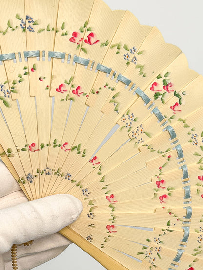 Early 1900s Hand Painted Celluloid Hand Fan
