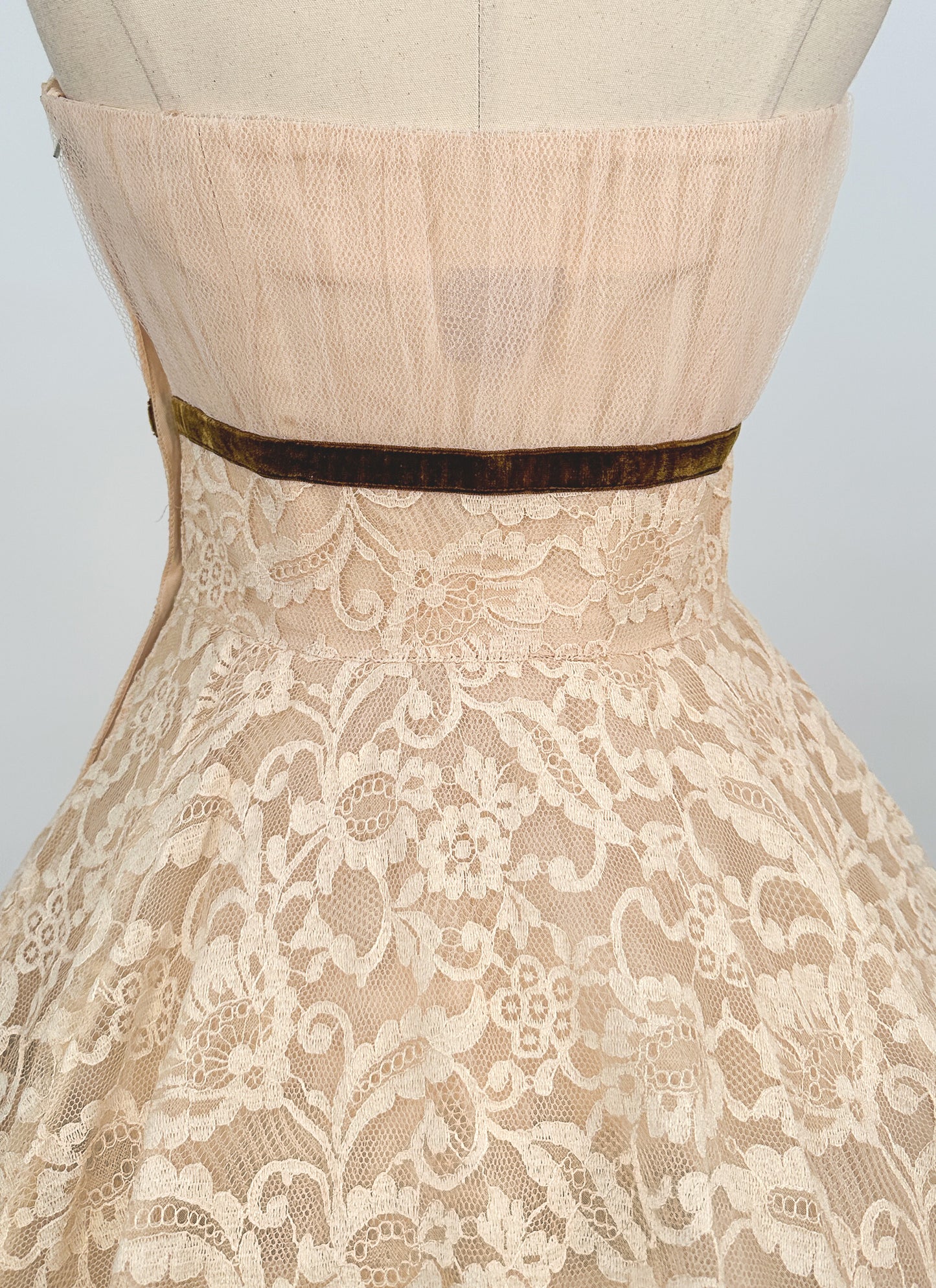 1950s Swoon Worthy Champagne Lace and Tulle Gown / Waist 26