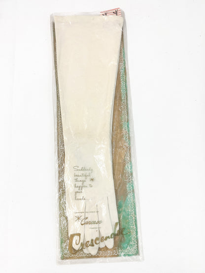 1950-60s White Mid-Length Gloves in Original Packaging